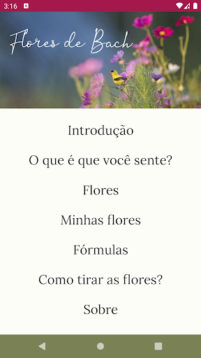 Visualização do aplicativo