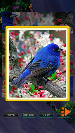 Spring Festive Puzzle Screen 3
