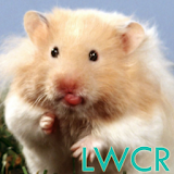 hamster lwp icon
