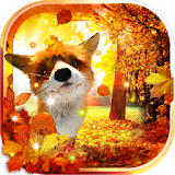 Autumn Forest Fox LWP 2015 icon