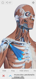 Visual Anatomy 3D - Human 1.8 screenshots 1