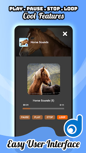 Horse Sounds