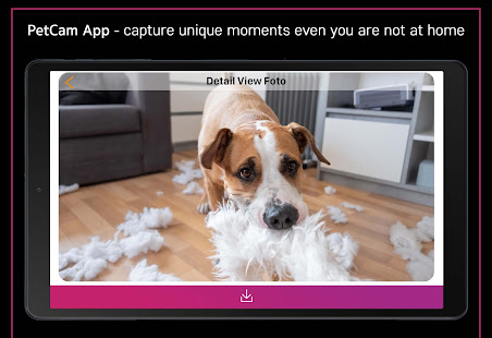 PetCam App - Dog Camera App Varies with device APK screenshots 12