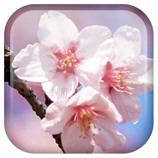 桜ライブ壁紙 Google Play のアプリ