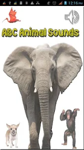 ABC животных Звуки