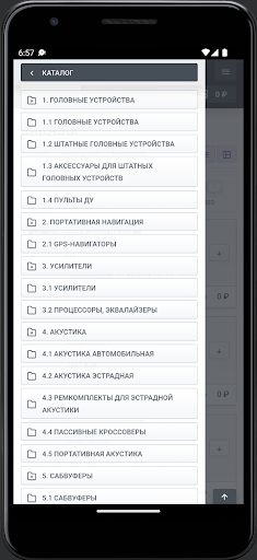 AKS.MARKET Screen 2