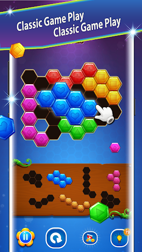Block Hexa Puzzle Screen 3