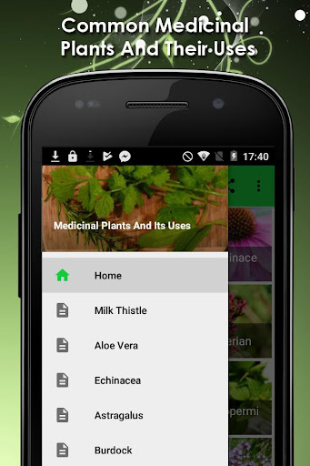 Top Medicinal Plants And Its Uses