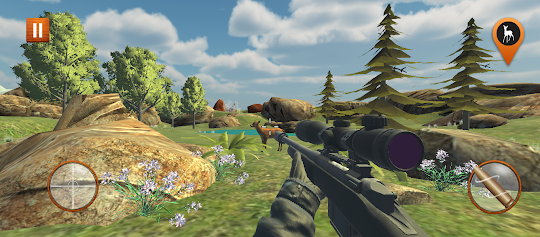動物狩獵狙擊手游戲3D