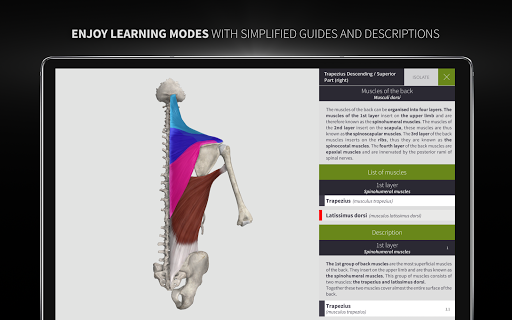 Anatomyka - 3D Human Anatomy Atlas 2.1.5 Screenshots 21