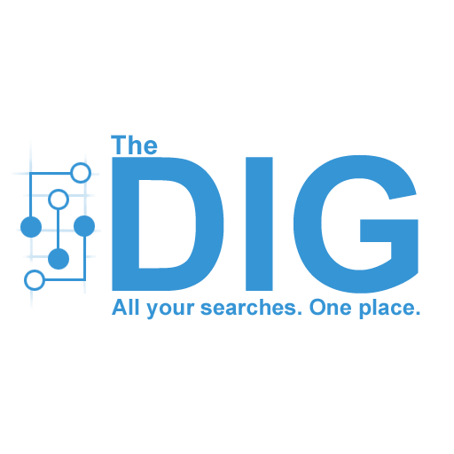 TheDIG  Icon