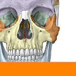 Cover Image of Download Sobotta Anatomy  APK