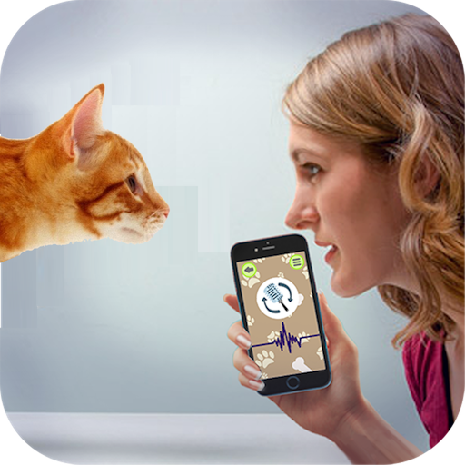 Simulação de Gatos Online na App Store