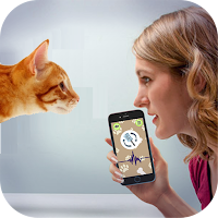 Cat Language Translator Simulator - Talk to Pet