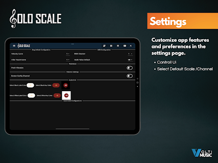 Solo Scale Controller