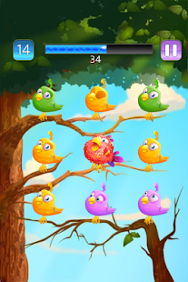 9 Birds(圖8)-速報App