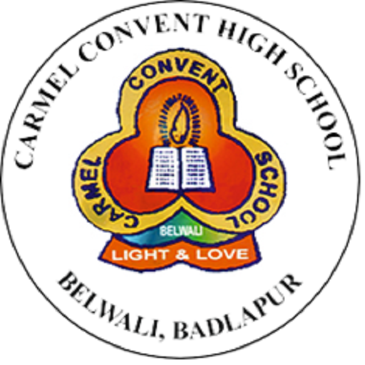 Carmel Convent High School Bad  Icon