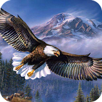 Eagle HD Wallpaper