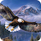 Eagle Wallpaper Best 4K Download on Windows