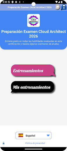 Vista previa de la aplicación