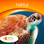 Cover Image of डाउनलोड Turtle Wallpaper 1.0.0 APK