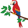 puzzle cartoon red parrot icon