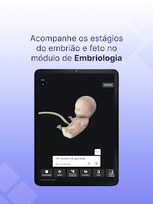 Captura de Pantalla 23 BioAtlas - Anatomia Humana 3D android