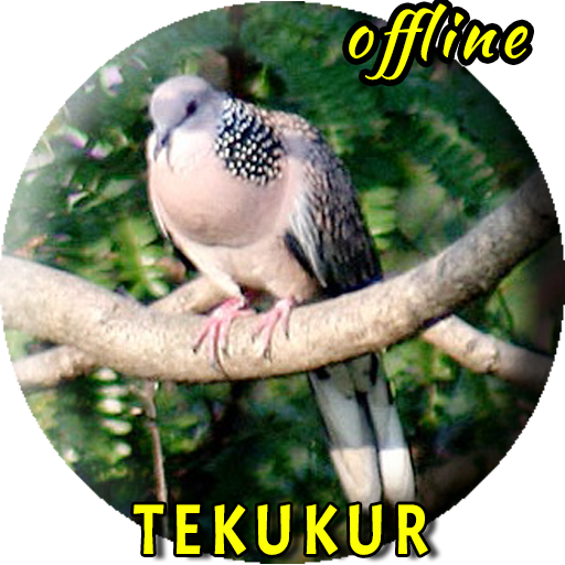 Tekukur Pikat MP3 1.0.3 Icon