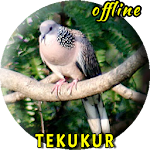 Cover Image of Download Tekukur Pikat MP3  APK