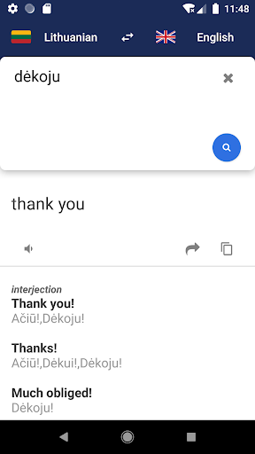 Lithuanian English Dictionary Screen 3