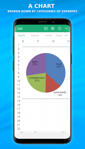 Money Manager in Excel Screen 3