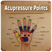 Most Popular Acupressure Points  Icon