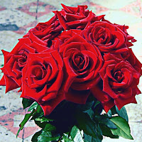 Rose Images - Flower Images