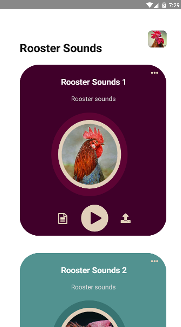 Rooster Sounds - 3 - (Android)