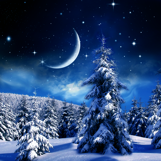 Winter Night Wallpaper - Apps on Google Play