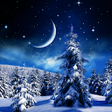 Winter Night Wallpaper icon