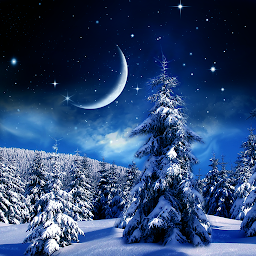 Icon image Winter Night Wallpaper