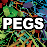 PEGS Summit 2016 icon