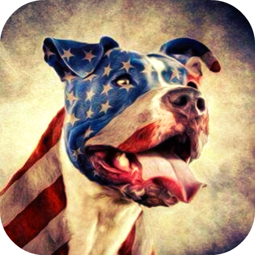 Pitbull Dog HD Lock Screen