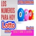 Download Numero para hoy 1.75 Apk for android