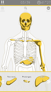 E. Learning Anatomy puzzle Unknown