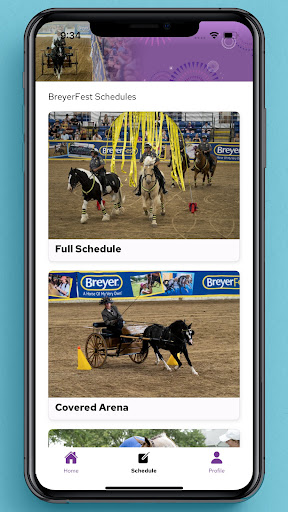 BreyerFest 2025 screenshot 3