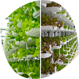 Agriculture Hydroponics icon
