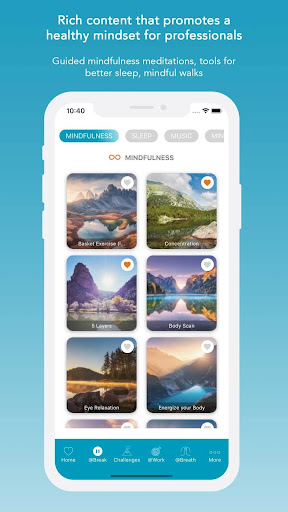 TLEX Flow Screen 2