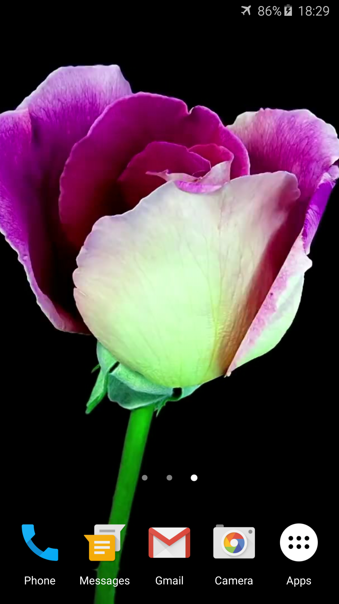 Android application Flowers Video Live Wallpaper screenshort