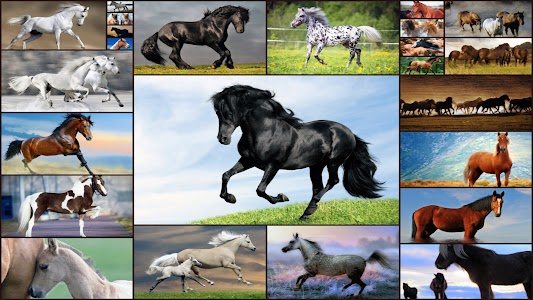 Horse Jigsaw Puzzles Game Kids Unknown