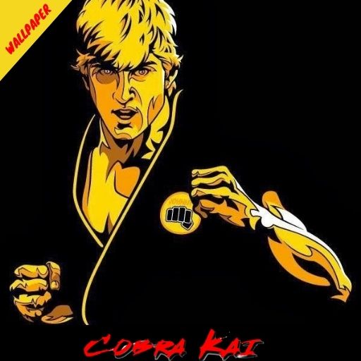 Download do APK de COBRA KAI FIGHTERS para Android