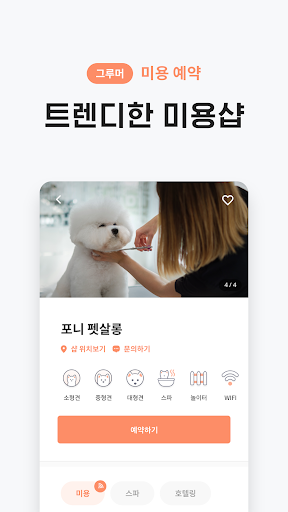 와요 - 펫시터 훈련사 그루머