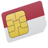 SIM CARD INFORMATION icon