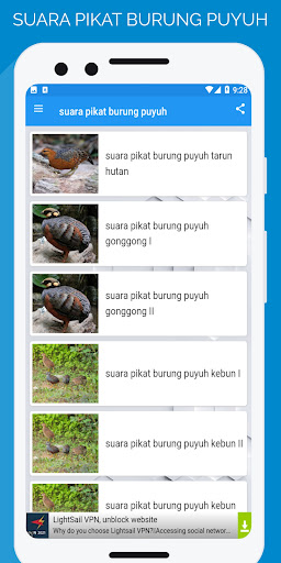 suara pikat burung puyuh Screen 2
